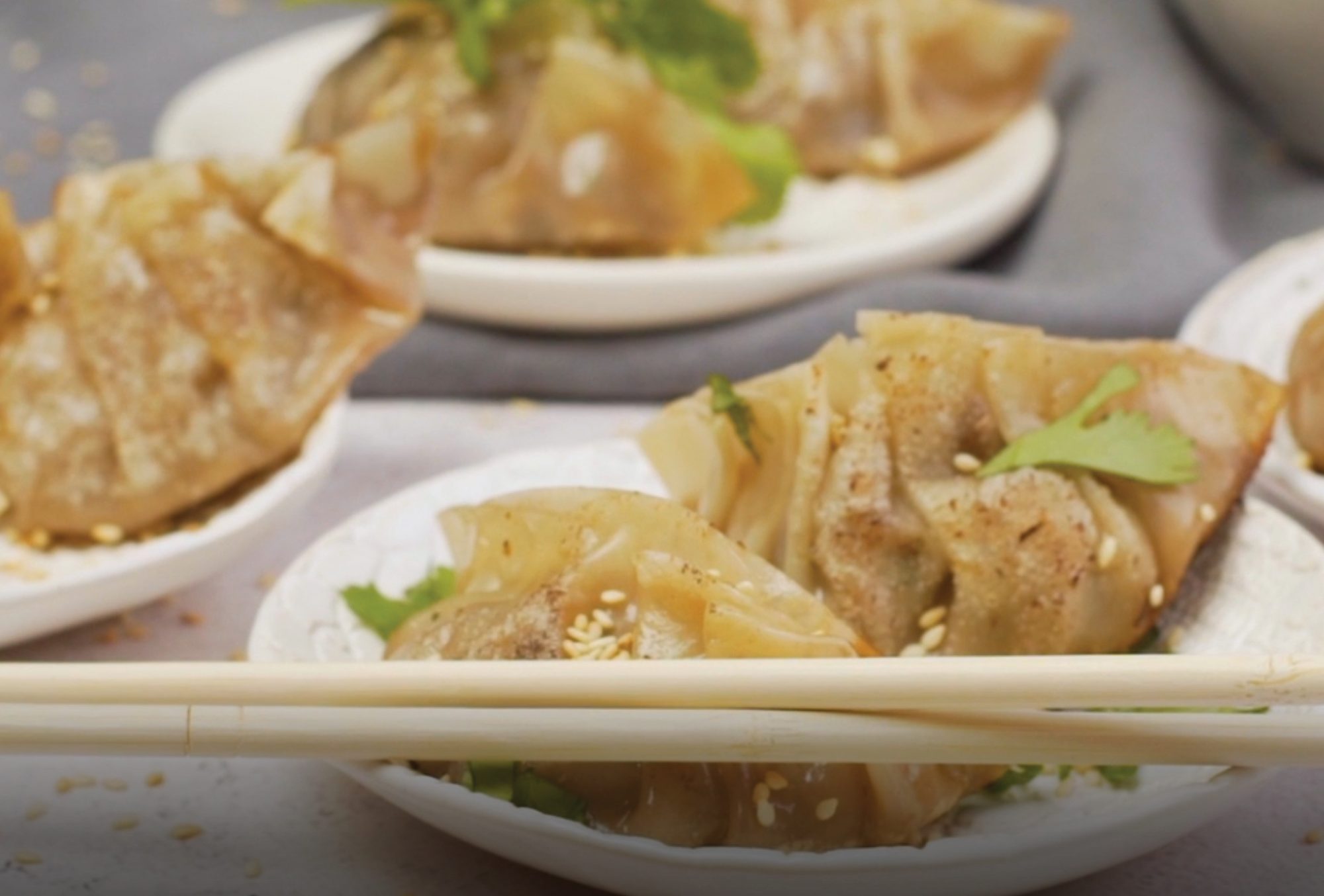 Pot Stickers